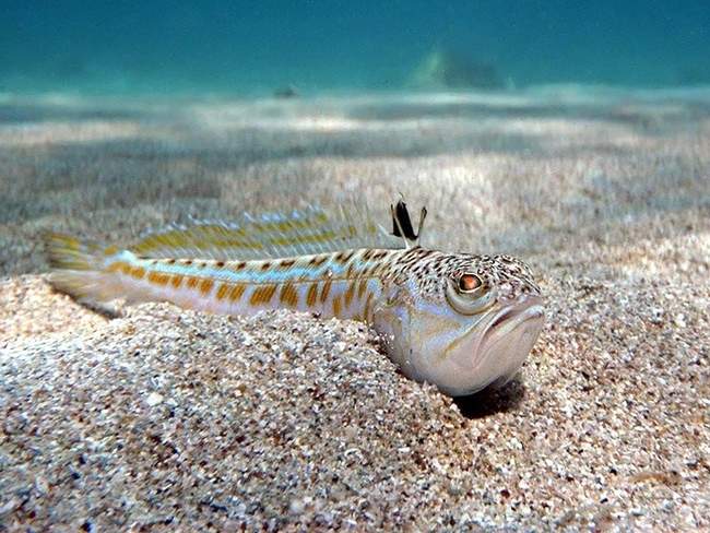 Land op zee